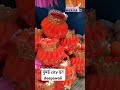 मुंबई ciyy in deepawali 👍💖👌#shorts #viral #trending #youtubeshorts #mumbai #deepawali