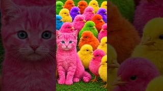 Tangkap Ayam Lucu, ayam warna warni, ayam rainbow, kelinci lucu, bebek lucu, ikan koi, Hewan Lucu