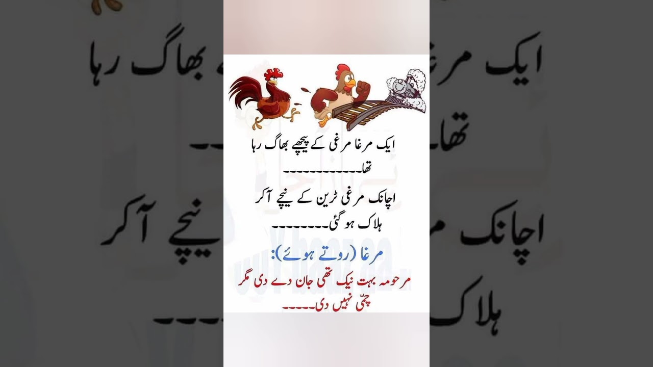 Aj Ka Lateefa/ Latifa/ Urdu Jokes/Urdu Lateefay/hindi Jokes/funny video/latifay in urdu 