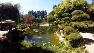 A GoPro Walk: Japanese Garden