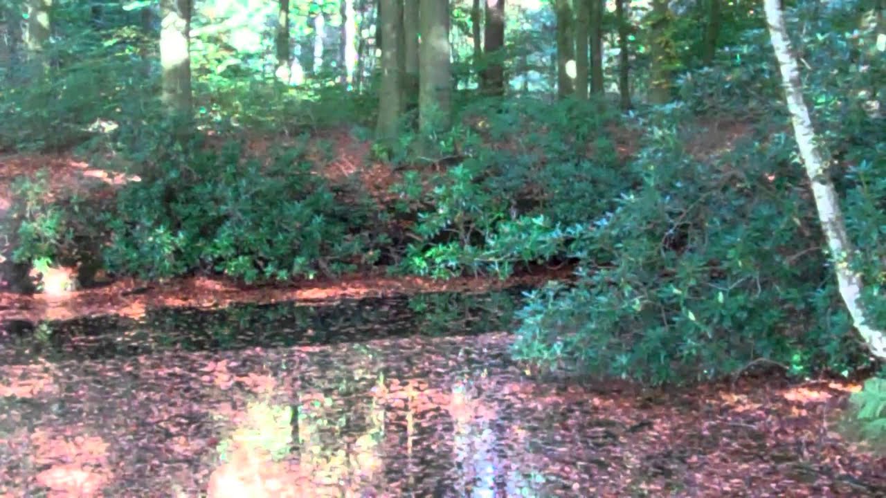 IJsselvliedt Wezep  22 oktober 2012