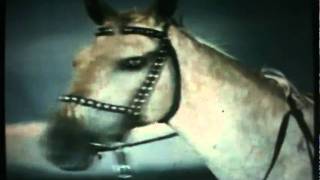 TVG-9 GIPSYROAD Piosenka z Filmu "Tabor Wędruje Do Nieba" chords