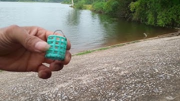 test thử lưỡi câu cá mương của 2 bố con( tập 1)