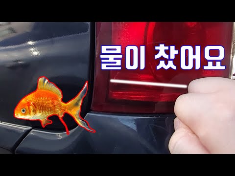 자동차 브레이크 등에 물이 찼어요 (어항 에디션 금붕어 키우고 계신 분?) 해결 방법