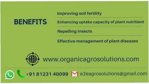 E2E AGRO SOLUTIONS | ORGANIC FERTILIZERS | DISEASE MANAGEMENT