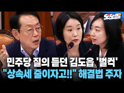 [현장영상] 민주당 질의 듣던 김도읍 '벌컥' "상속세 줄이자고!!" 해결법 주자 #이소영 #청문회