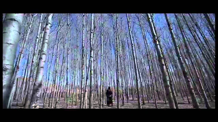 Showreel Feifei Chen