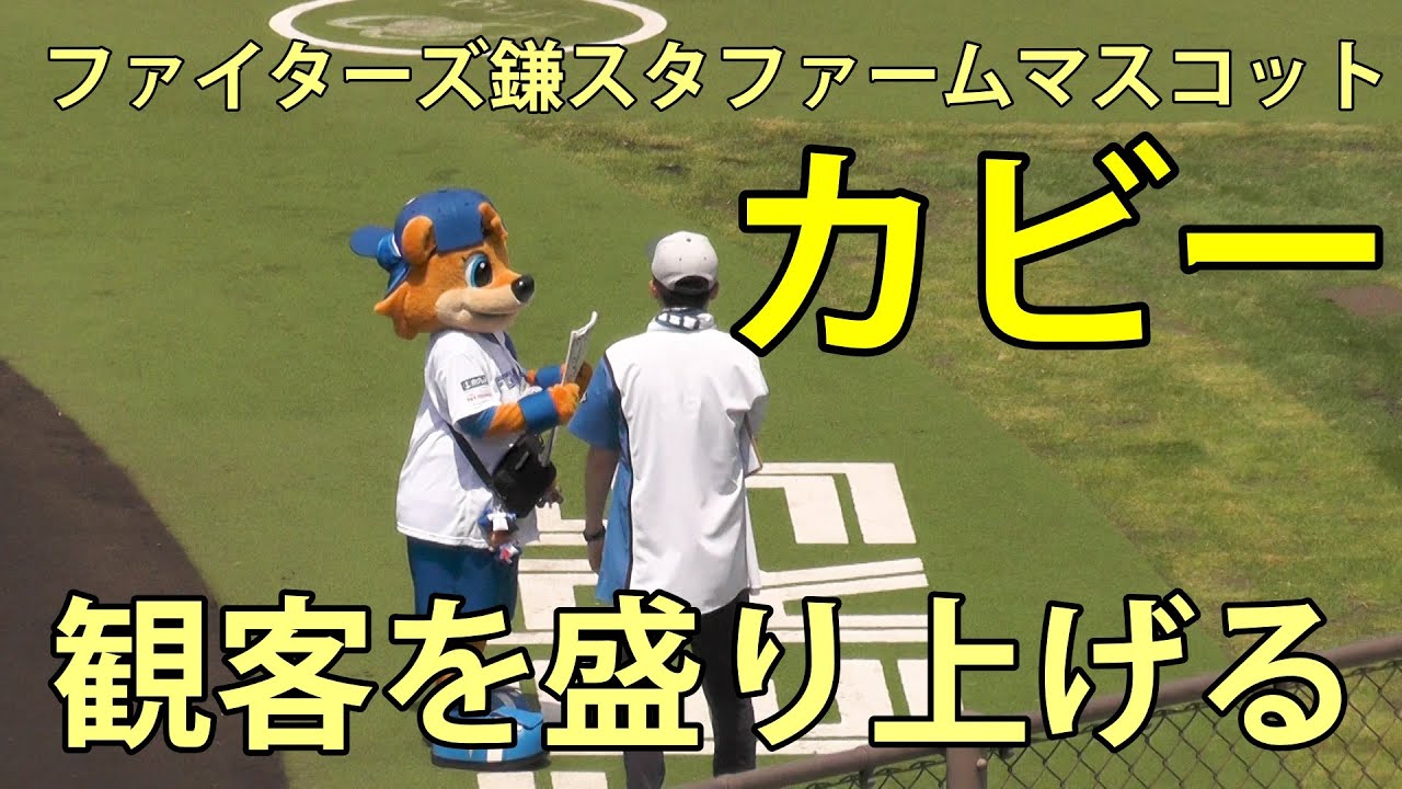 カビー(ファイターズ鎌スタファームマスコット) 観客を盛り上げる