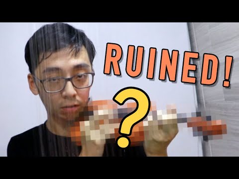 we-destroyed-a-violin-for-this-challenge-(the-most-sacrilegious-thing-we've-ever-done)