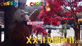 Cheerful Chaei VLOG (외할머니와 너무예쁜단풍구경) 부제: 가을을 조심하세요