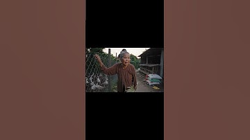 hành trình bà đi tìm capy (tập 1)đăng kí kênh để xem video mới nhất của mình nha mọi người