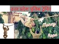 Monkey rope| How to climb on rope in money style|UP POLICE TRAINING 2022