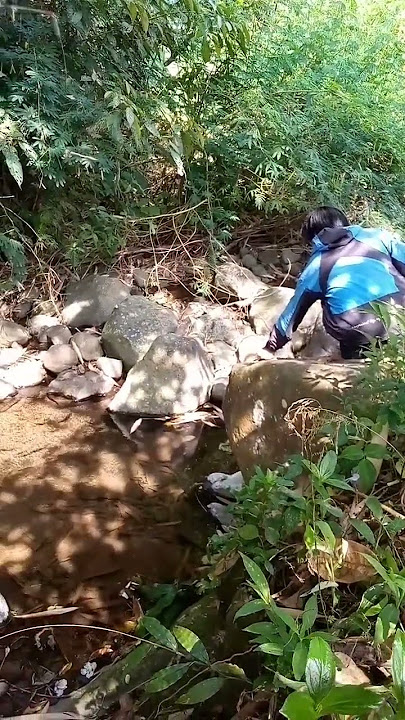 Ngusep deui #mancing #mancingmania #mancingliar #microfishing #shorts #shortvideo #shortsvideo