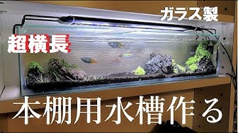 自作水槽 Youtube