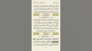 القران الكريم بصوت سعود الشريم🤍 سورة التكاثر #القران #القران_الكريم #سعود_الشريم #استغفر_الله
