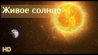 Солнце онлайн. Смотреть солнце в HD Солнце онлайн. Смотреть солнце в HD