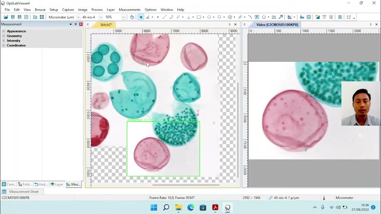 ILabS Tutorial Camera Microscope OptiLab Viewer 4 stitching YouTube