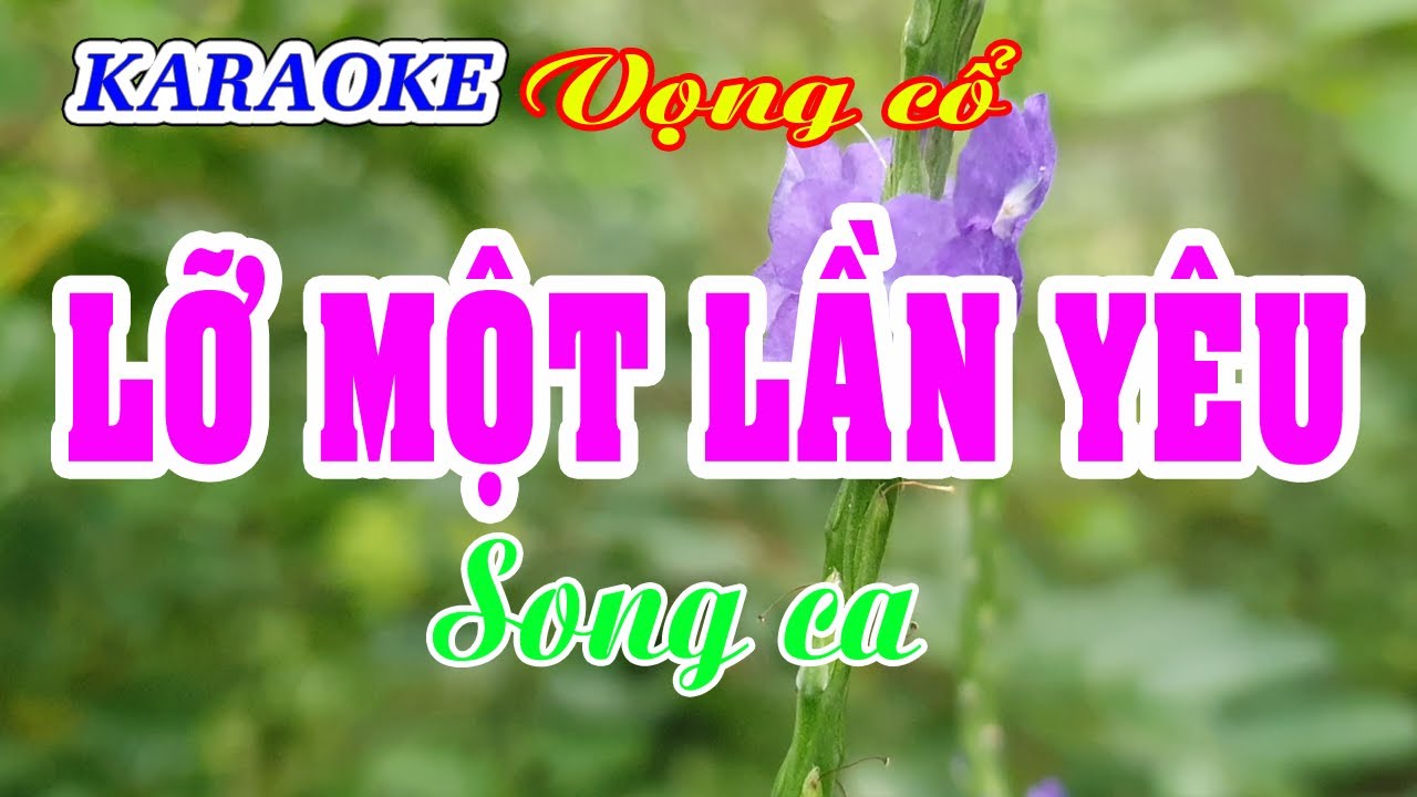KARAOKE   LỠ MỘT LẦN YÊU _ Song ca