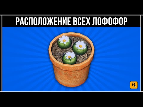 GTA Online: Расположение всех 76 растений Лофофора