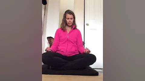 Meditation, Relaxation & Body Scan #relaxation