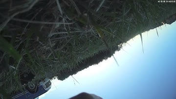 TBS Gemini ON FIRE (Drone