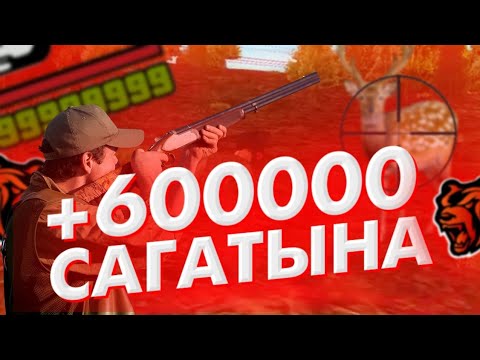 Бейне: Аң аулайтын бұқтырғыш