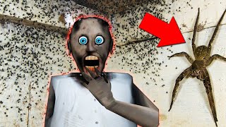 Granny vs Arachnophobia vs Spiders funny new animatio