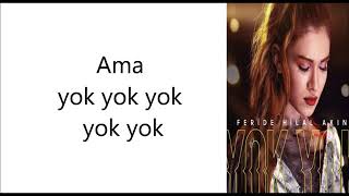 Feride Hilal Akın Yok Yok Şarkı 