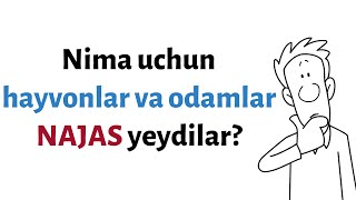 Nima Uchun Hayvonlar Najas Iste'mol Qiladi?