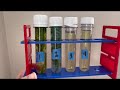 Aquatic Plant Lab Quiz