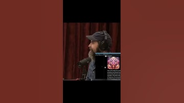 Joe Rogan Reacts to ChatGPT Created Image of God with a Bunny