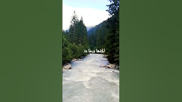 إبحث عن السعادة بداخلك #تلاوات_خاشعة #مواعظ