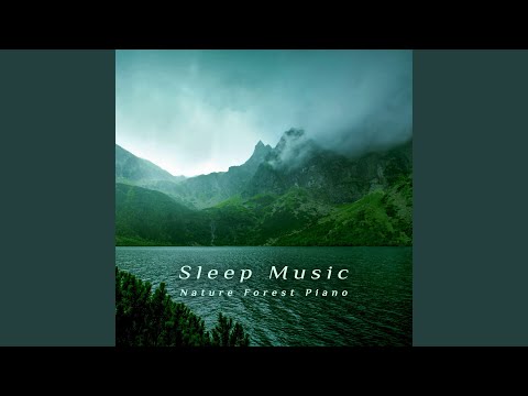 在 YouTube 上觀看「蕭邦: 華麗大圓舞曲 (流水蟲鳴鳥鳴)」
