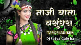 वसुन्धरा गोंडी सॉंग Vasundhara Gondi Song | Tapori Adi Mix Dj Satya Galwha