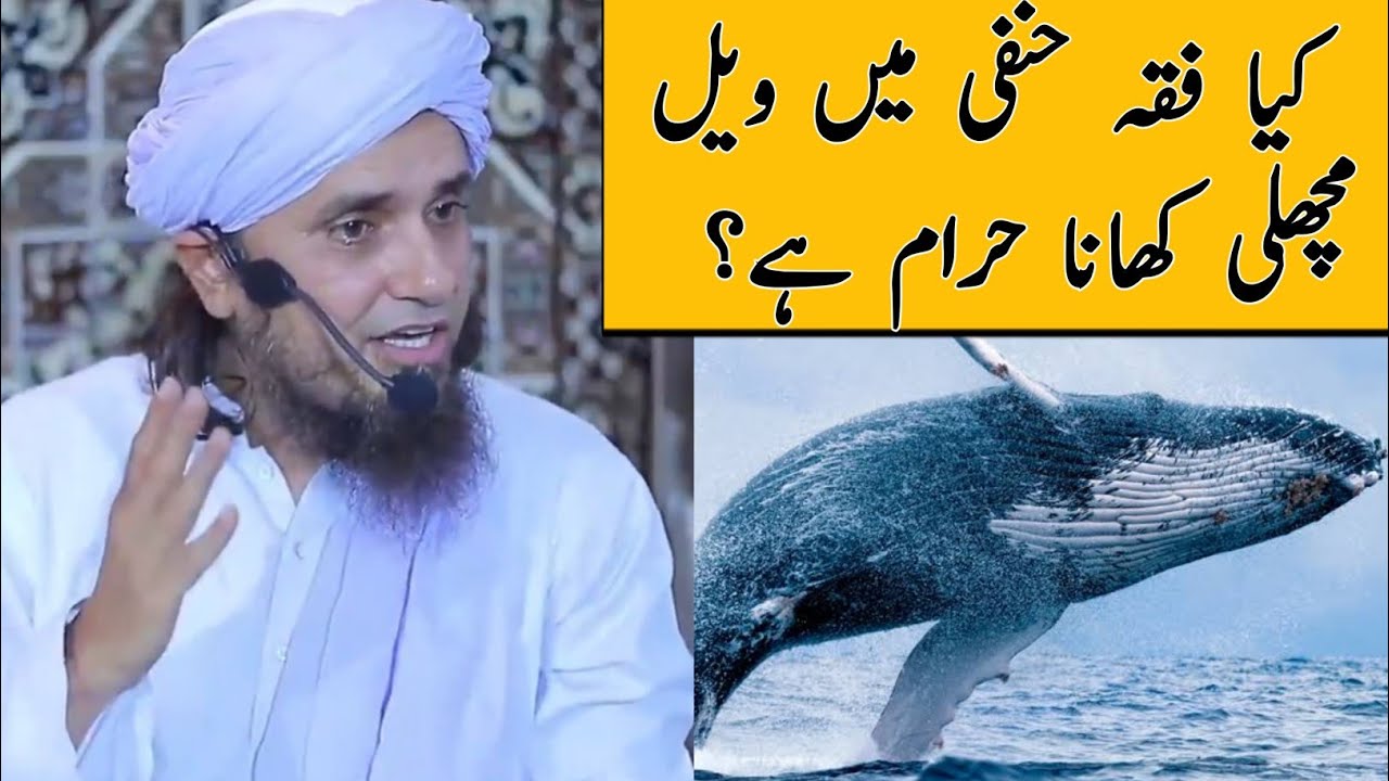 Whale Fish is Halal Or Haram in Fiqa Hanfi ? Mufti Tariq Masood