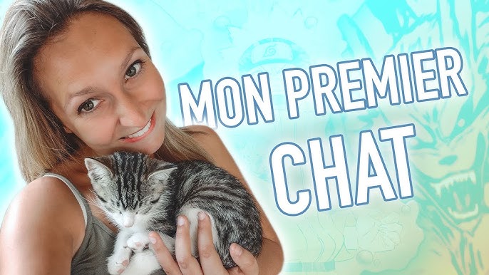 Vlog Je Vais Chercher Mon Chaton Youtube Vlog Je Vais Chercher Mon Chaton Youtube