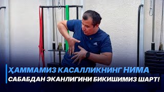 видео: МАСТЕРКЛАСС | Доктор Одилбек картинка: МАСТЕРКЛАСС | Доктор Одилбек