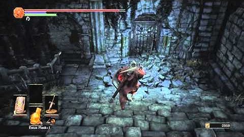 Stupid Invader Kills Himself - Dark Souls 3