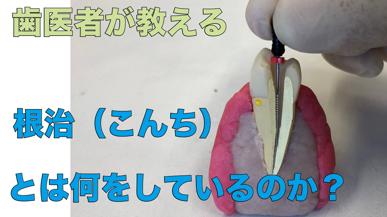 Yokohama Totsuka: Naito dentistry] An explanation video of