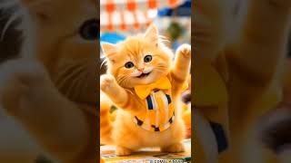 LUCU BANGET !! Kucing kecil joget kupu-kupu terbang melayang #cat #cute #vidio #masukberanda #shorts