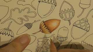 Adult Colouring Tutorial Acorn   from Enchanted Forest by Johanna Basford