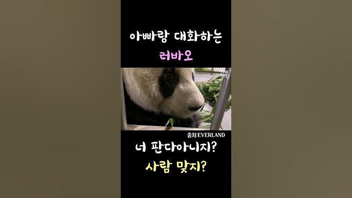 송바오와 대화하는 판다 러바오
