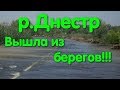 Днестр вышел из берегов. Затопление. Турунчук. Уровень Днестра. Понтонный мост Троицкое. Рыбаки.