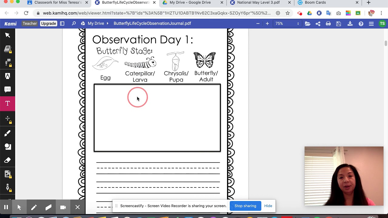 Butterfly Life Cycle Observation Journal-Day 1