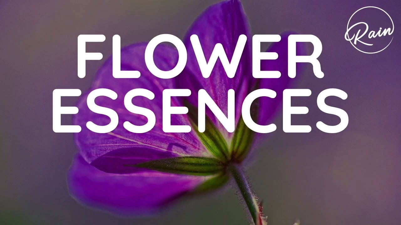 Learn how to make your own flower essence(s) Bach Flower Essence on RainHeartWisdom YouTube