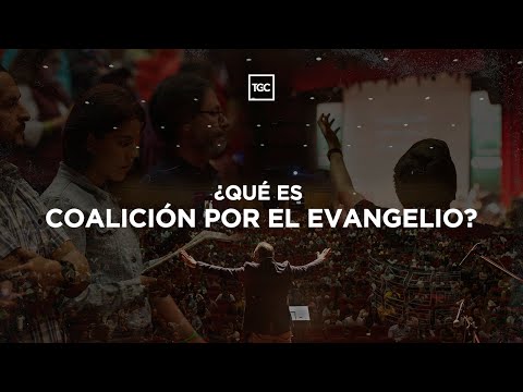 ¿Qué es Coalición