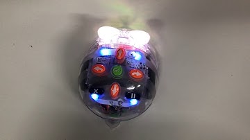 Audio Recording with Blue Bots