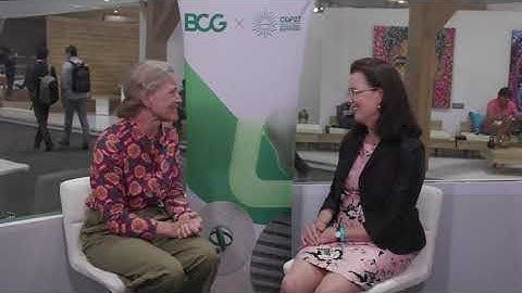 BCG at COP27 | Integrating Climate Adaptation into Investment Methodologies