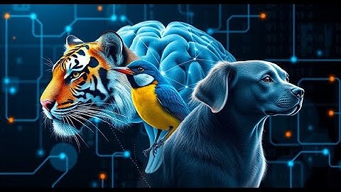 Animal Classification Using Machine Learning | AI Image Recognition Demo