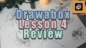 Is Drawabox worth it? (Part 4) Lesson 4 Review for beginner artists. Learn to draw FREE! Insects